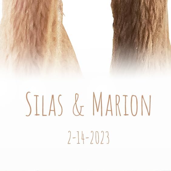 24 - Llama Love