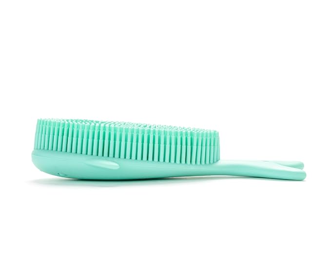 Whale-teal
