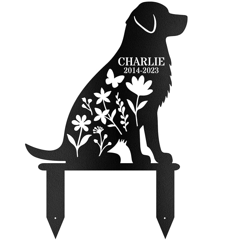 Dog-1016