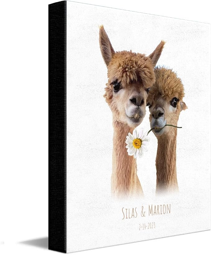24 - Llama Love