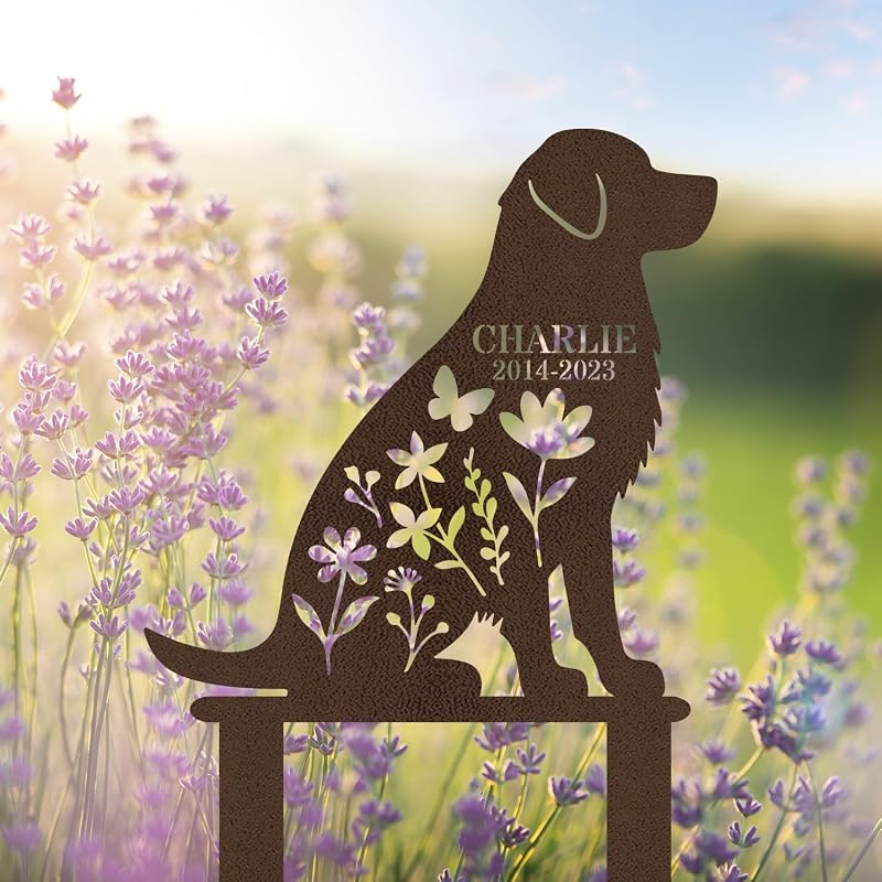 Dog-1016