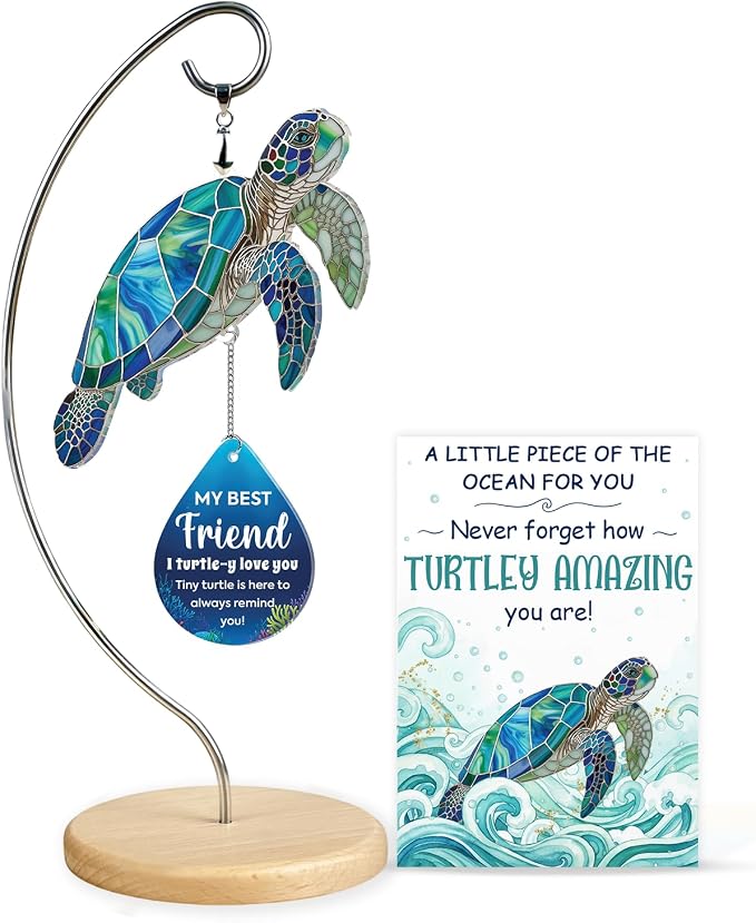 11 - Friend Turtle