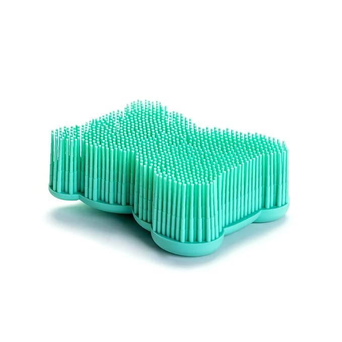 Bear-teal