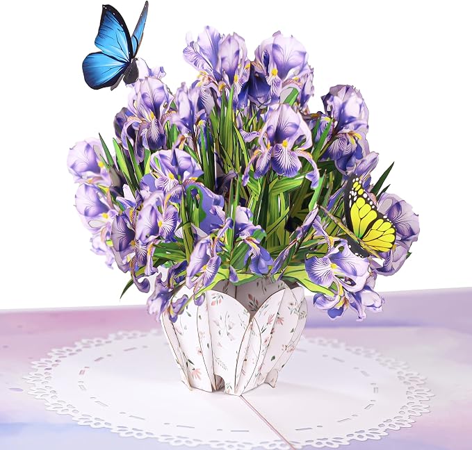 Iris flower