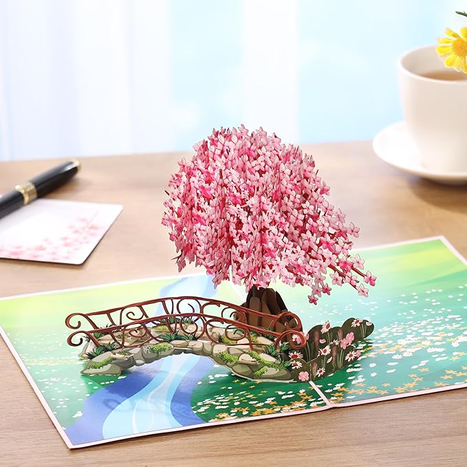 Cherry Blossom