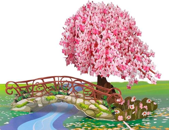 Cherry Blossom