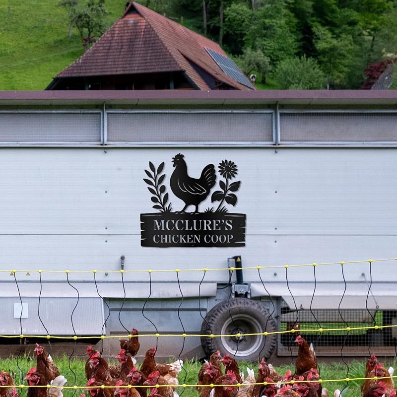 Chicken-2