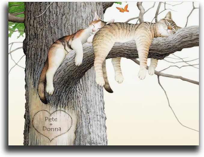 23 - Cat Nap