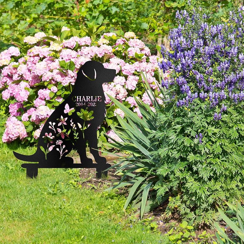 Dog-1016