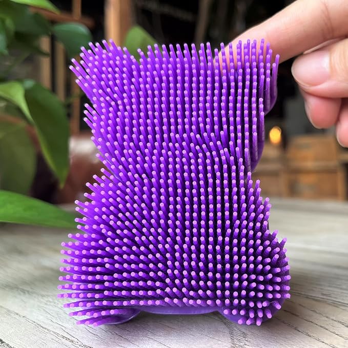 Bear-purple